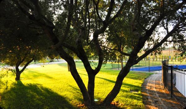 فندق Tenuta Santa Lucia سان جيوفاني روتوندو المظهر الخارجي الصورة